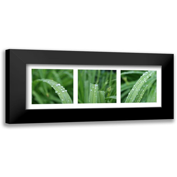 MIRA 18x9 Black Modern Framed Museum Art Print Titled - Raindrops