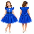 thumbnail image 1 of MIRUXO Police Dog Officer Cosplay Dress Blue Princess Dress Sequin Belt Tulle A-Line Outfit for Halloween Stage Party, 1 PC, 1 of 9