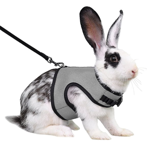 MISSMILE Cat Harness,Built for Adventure Kitten Harness,Adjustable Cat Harness with Leash