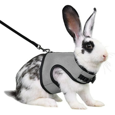 MISSMILE Cat Harness,Built for Adventure Kitten Harness,Adjustable Cat Harness with Leash