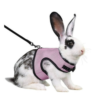 MISSMILE Cat Harness,Simple Fit Kitten Harness,Adjustable Cat Harness and Leash