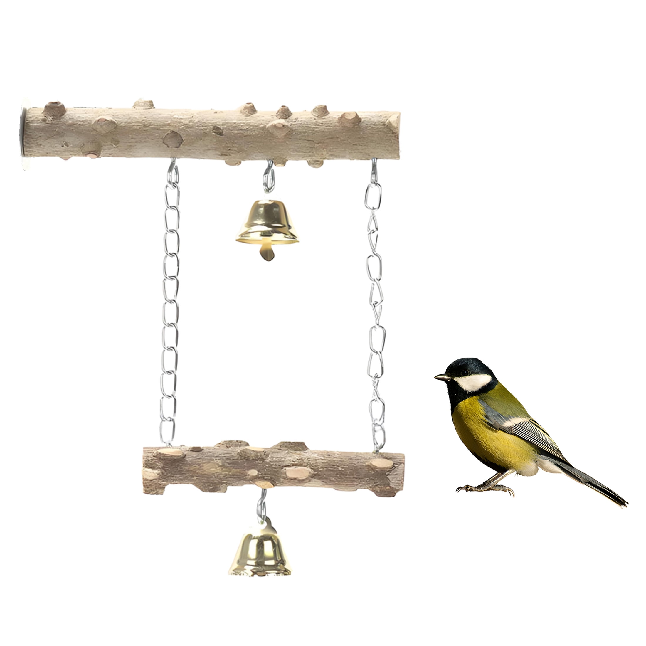Curated visual reference: Visual Reference: Missmile Hummingbird Swing Zanthoxylum Bungeana Hummingbird Swings And