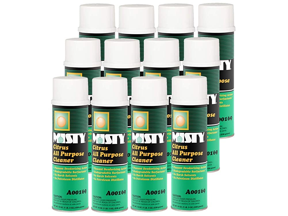 MISTY Green AllPurpose Cleaner Aerosol 19 Ounce (Case of 12) 1001583