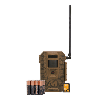 ソマビト38灯3点セット 本日限定¥16000 Walmart Hunting Store in Zephyrhills, FL | Shooting Supplies