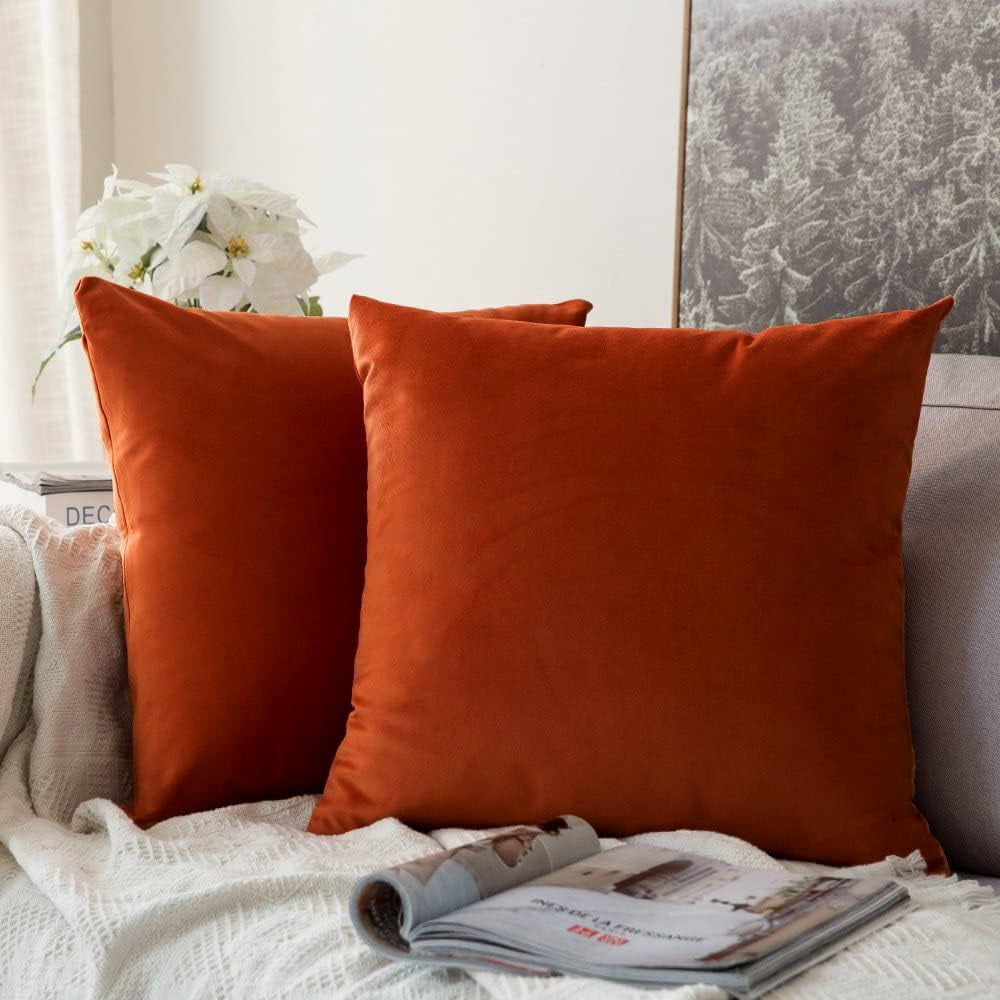 MIULEE Pack of 2 Burnt Orange Velvet Throw Pillow Covers 12x12 Inch