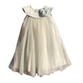 thumbnail image 1 of MIXUE Toddler Girls Casual Dresses Summer Solid Color Round Neck Ruffled Sleeveless A Line Mesh Dance Princess Dress Holiday Wear,Green,3-4 Years, 1 of 5