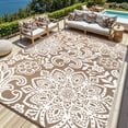 thumbnail image 1 of MJIAexp 8'x10' Brown Outdoor Rug Patio Rug Waterproof RV Outdoor Rug Camping Rugs Reversible Plastic Straw Rug Large Outdoor Mat for Camping, Balcony Apartment, Patio, Porch, Picnic, Beach, 1 of 8