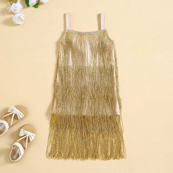MJTBGFSWG Dress for Girls Girls Flapper Dress Sequins Fringe Latin Dance Dress Tassel Tango Dress