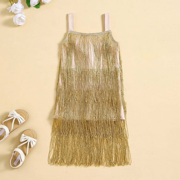 MJTBGFSWG Girls Dresses Size 10-12 Girls Flapper Dress Sequins Fringe Latin Dance Dress Tassel Tango Dress