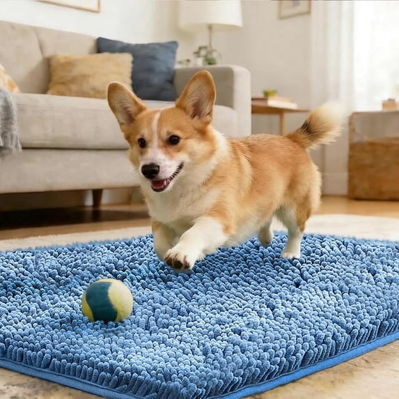 Absorbent Grippy Dog Doormat, Machine Washable Rug for Muddy Paws, Indoor Entrance Pet Bed Mat,16"×24",Sky Blue