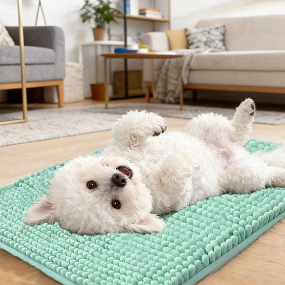 Ultra Absorbent Pet Doormat for Muddy Dog Paws, Machine Washable Soakstopper Rugs Cleaner Floors, Indoor Entrance Door Rug,Mint Green,16"x 24"