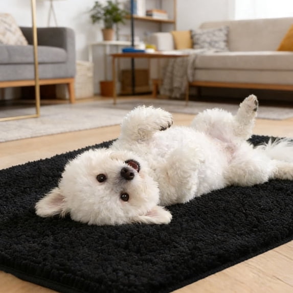Ultra Absorbent Pet Doormat for Muddy Dog Paws, Machine Washable Soakstopper Rugs Cleaner Floors, Indoor Entrance Door Rug,Black,24"x 36"