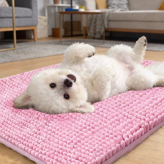 Ultra Absorbent Pet Doormat for Muddy Dog Paws, Machine Washable Soakstopper Rugs Cleaner Floors, Indoor Entrance Door Rug,Pink,24"x 60"