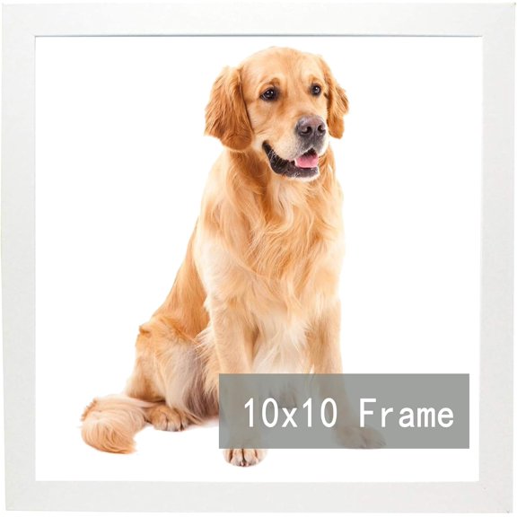 MKEUDQ-10x10 Picture Frame for Square Photo Poster Canvas Certificate Document Display Horizontally or Vertically High Transparent Wall Gallery(White 10 x 10 inches)