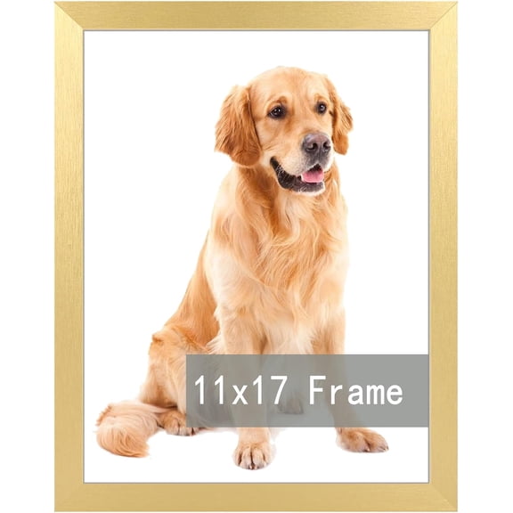 MKEUDQ-11x17 Picture Frame for 11by17 Poster Photo Canvas Certificate Black High Transparent Poster Frame Wall Desktop Horizontal Vertical 11 x 17,Gold