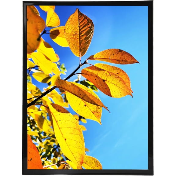 MKEUDQ-16x20 Poster Frame, Studio Gallery 16x20 Picture Frames, For Wall Collage Photo Frame,Black