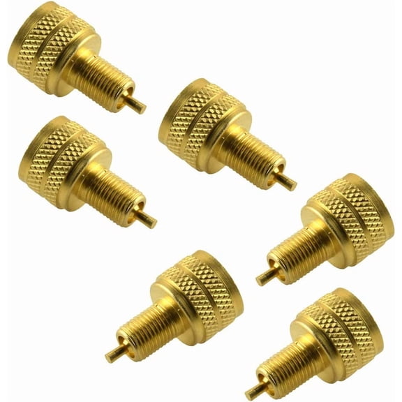 MKEUDQ-Baosity 6PCS External Gold Tire Bore Valve Stem Adapter Reducer 22mm Length