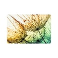 thumbnail image 1 of MKHERT Abstract Dandelion Flower Spring Nature Doormat Rug Home Decor Floor Mat Bath Mat 23.6x15.7 inch, 1 of 3