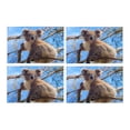thumbnail image 1 of MKHERT Australian Koala Cute Animal Placemats Table Mats for Dining Room Kitchen Table Decoration 12x18 inch,Set of 4, 1 of 4