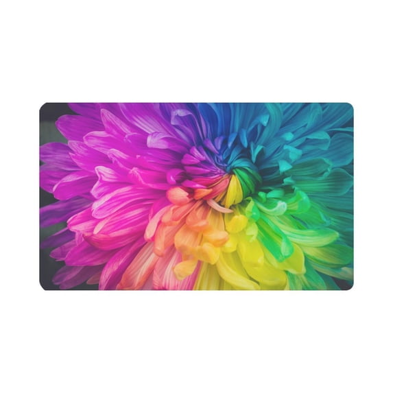 MKHERT Beautiful Rainbow Flowers Chrysanthemums Doormat Rug Home Decor Floor Mat Bath Mat 30x18 inch