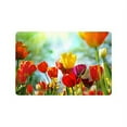 thumbnail image 1 of MKHERT Beautiful Tulip Spring Flowers Doormat Rug Home Decor Floor Mat Bath Mat 23.6x15.7 inch, 1 of 3