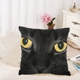 thumbnail image 1 of MKHERT Black Cat Throw Pillowcase Pillow Cover Cushion Couver 18x18 inch, 1 of 2