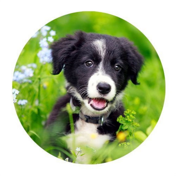 MKHERT Border Collies Black Puppy Round Mousepad Mat For Mouse Mice Size 7.87x7.87 inches