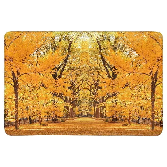 MKHERT Central Park Autumn in Midtown Manhattan York City Doormat Rug Home Decor Floor Mat Bath Mat 23.6x15.7 inch