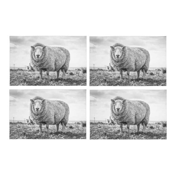 MKHERT Close Up Black and White Sheep Cool Animal Placemats Table Mats for Dining Room Kitchen Table Decoration 12x18 inch,Set of 4