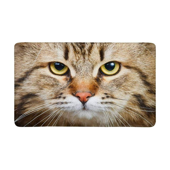 MKHERT Close-up Portrait of Siberian Cat Kitten Face Doormat Rug Home Decor Floor Mat Bath Mat 30x18 inch