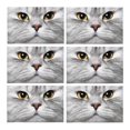 thumbnail image 1 of MKHERT Cute Animal Persian Cat Face Close-Up Placemats Table Mats for Dining Room Kitchen Table Decoration 12x18 inch,Set of 6, 1 of 4