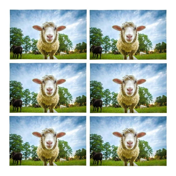 MKHERT Cute Baby Sheep Lamb Funny Animal Placemats Table Mats for Dining Room Kitchen Table Decoration 12x18 inch,Set of 6