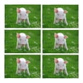 thumbnail image 1 of MKHERT Cute Piglet On Spring Green Grass Funny Animal Placemats Table Mats for Dining Room Kitchen Table Decoration 12x18 inch,Set of 6, 1 of 4