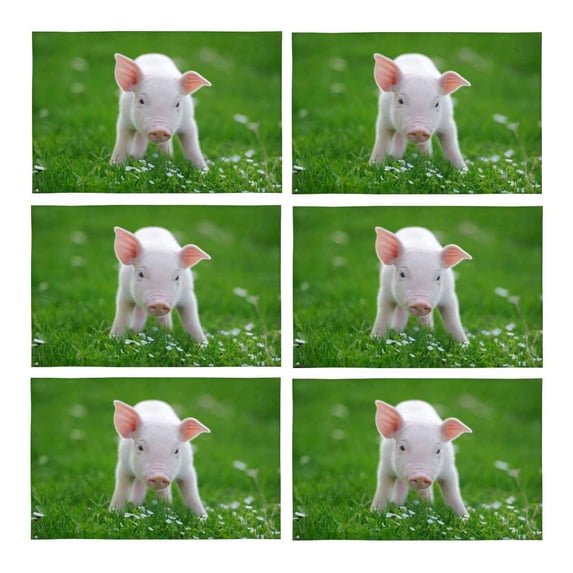 MKHERT Cute Piglet On Spring Green Grass Funny Animal Placemats Table Mats for Dining Room Kitchen Table Decoration 12x18 inch,Set of 6
