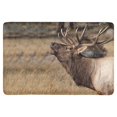thumbnail image 1 of MKHERT Deer Wilderness Elk in Rocky Mountain National Park Doormat Rug Home Decor Floor Mat Bath Mat 23.6x15.7 inch, 1 of 3