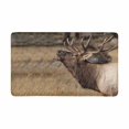 thumbnail image 1 of MKHERT Deer Wilderness Elk in Rocky Mountain National Park Doormat Rug Home Decor Floor Mat Bath Mat 30x18 inch, 1 of 3
