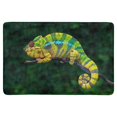 thumbnail image 1 of MKHERT Funny Colorful Chameleon Animal Doormat Rug Home Decor Floor Mat Bath Mat 23.6x15.7 inch, 1 of 3