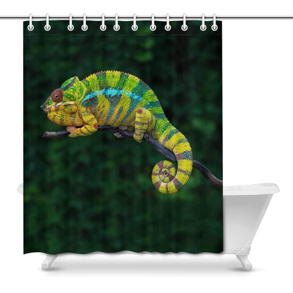 MKHERT Funny Colorful Chameleon Animal Waterproof Shower Curtain Decor Fabric Bathroom Set 66x72 inch