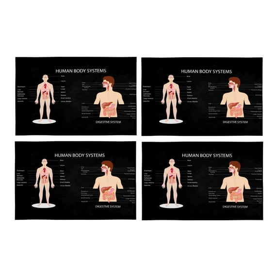 MKHERT Funny Complete Chart of Different Human Body Organ System Placemats Table Mats for Dining Room Kitchen Table Decoration 12x18 inch,Set of 4