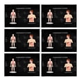 thumbnail image 1 of MKHERT Funny Complete Chart of Different Human Body Organ System Placemats Table Mats for Dining Room Kitchen Table Decoration 12x18 inch,Set of 6, 1 of 4