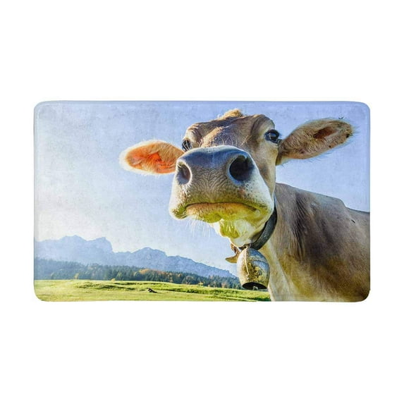 MKHERT Funny Cow at Kaisergebirge Mountain Doormat Rug Home Decor Floor Mat Bath Mat 30x18 inch