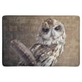 thumbnail image 1 of MKHERT Funny Wise Owl Sitting on Books Watercolor Animal Doormat Rug Home Decor Floor Mat Bath Mat 23.6x15.7 inch, 1 of 3