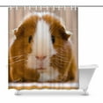 thumbnail image 1 of MKHERT Guinea Pig Dutch Rats Cute Animal Decor Waterproof Polyester Fabric Shower Curtain Bathroom Sets 66x72 inch, 1 of 1