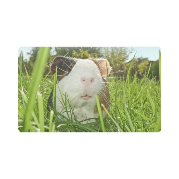MKHERT Guinea Pig Dutch Rats Doormat Rug Home Decor Floor Mat Bath Mat 30x18 inch