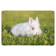 thumbnail image 1 of MKHERT Little Fluffy Rabbit Outdoors in Summer Cute Animal Doormat Rug Home Decor Floor Mat Bath Mat 23.6x15.7 inch, 1 of 3