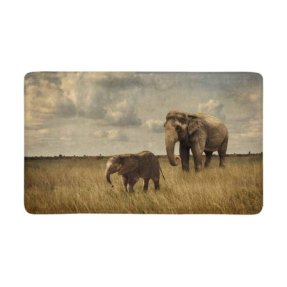MKHERT Mother and Baby Elephants in Vintage Style Doormat Rug Home Decor Floor Mat Bath Mat 30x18 inch