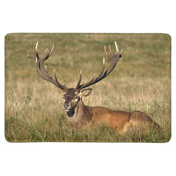 MKHERT Red Deer Old Stag Countryside Rural Hunting Theme Doormat Rug Home Decor Floor Mat Bath Mat 23.6x15.7 inch