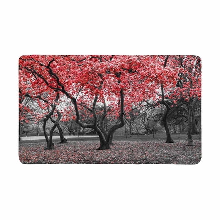 MKHERT Red Flower Trees Blossom in Black and White Landscape Doormat Rug Home Decor Floor Mat Bath Mat 30x18 inch