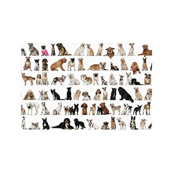 MKHERT Various Puppy Dogs Funny Animal Doormat Rug Home Decor Floor Mat Bath Mat 23.6x15.7 inch