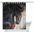 thumbnail image 1 of MKHERT Vintage Black Frisian Horse Animal Decor Waterproof Polyester Bathroom Shower Curtain Bath 60x72 inch, 1 of 1